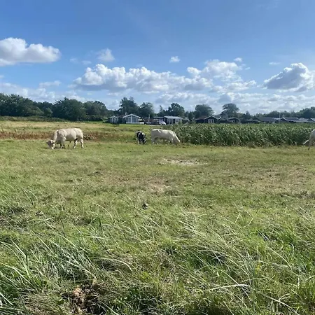 Semesterbostad 30 Person In Nordborg-by Traum *