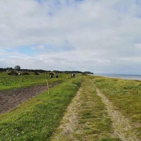 30 Person In Nordborg-by Traum